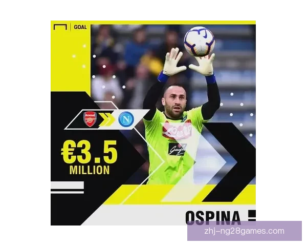 2025夏季转会里昂引进意甲后腰提升中场防守实力